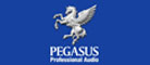 PEGASUS帕格索斯