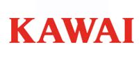 KAWAI卡瓦依