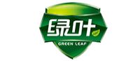 绿叶GreenLeaf